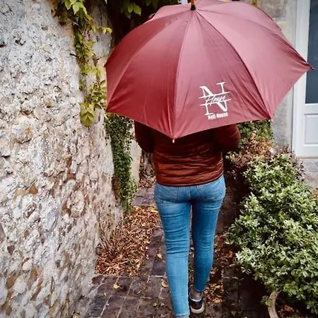 Natifriendly-appartement Centre Historique Avec Jardin Ideal Famille Appartement